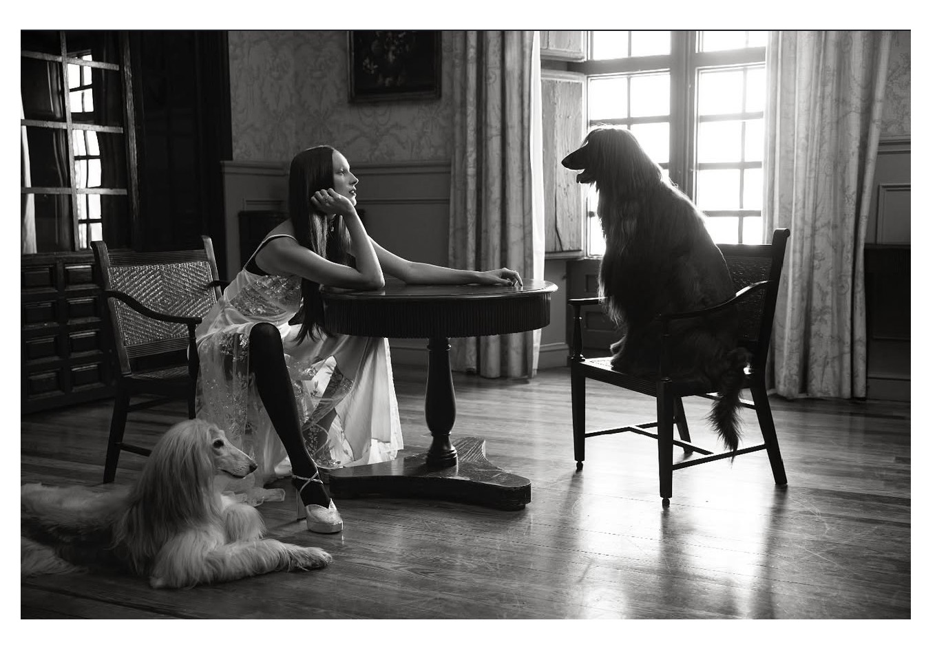 ji_dossier_pagina_42